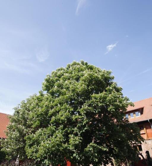 Отель Gut Hühnerhof