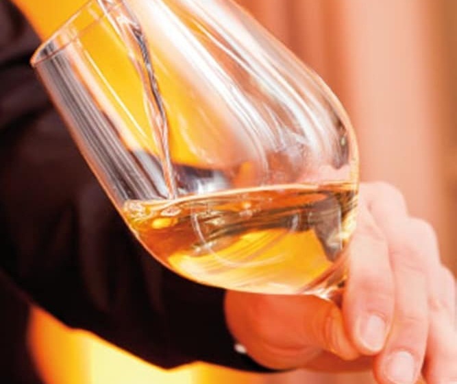 Отель Herzogspark