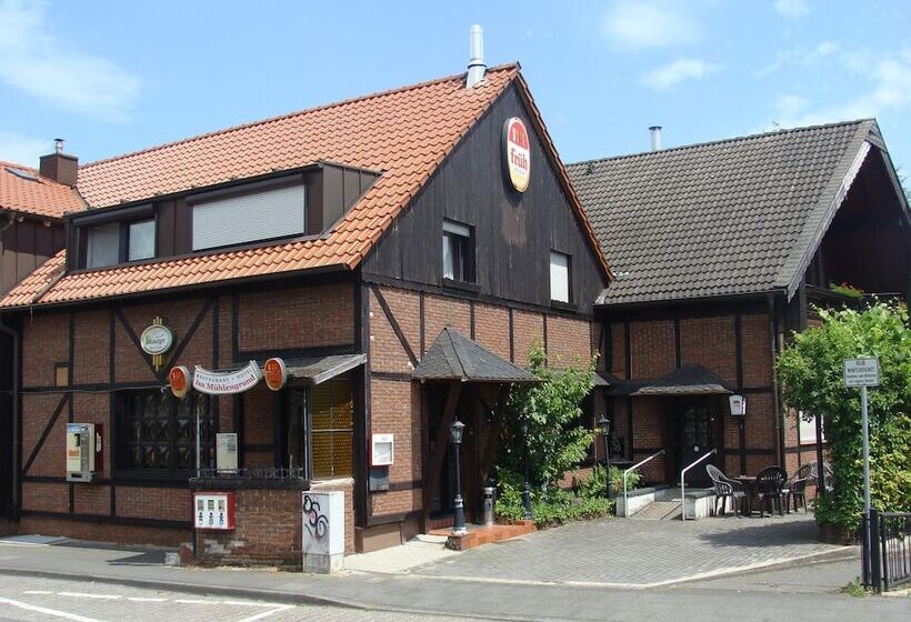 호텔 Im Mühlengrund