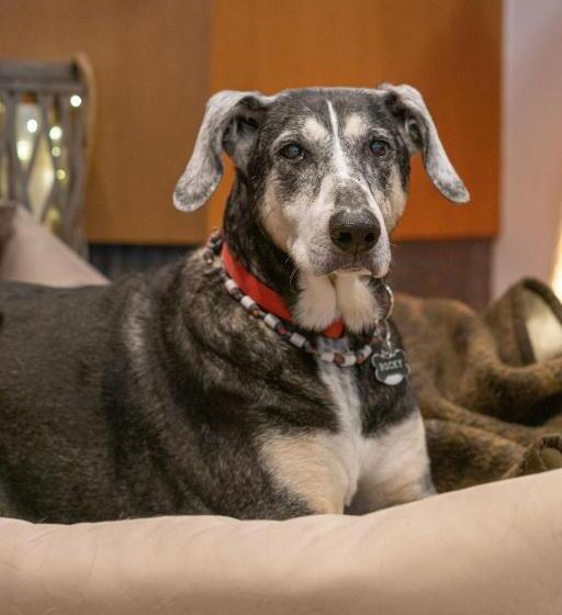 فندق Kelkheimer Hof