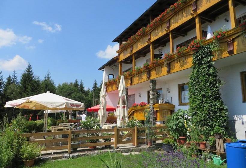 호텔 Kolmsteiner Hof