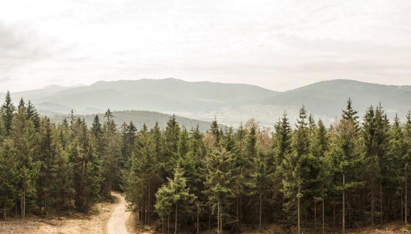 호텔 Kolmsteiner Hof