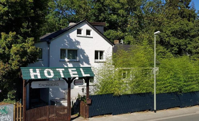 Отель Kronberg