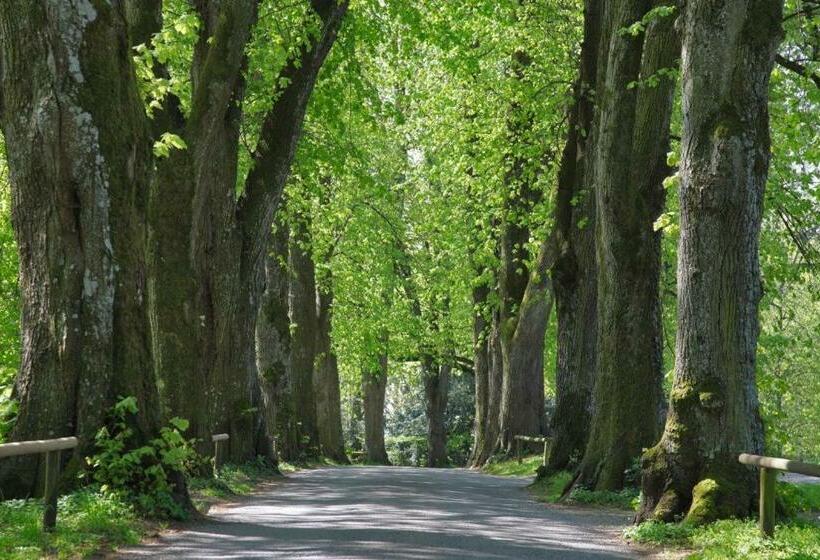 Отель Lindenallee