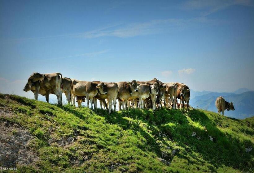 Отель Lindenberger Hof