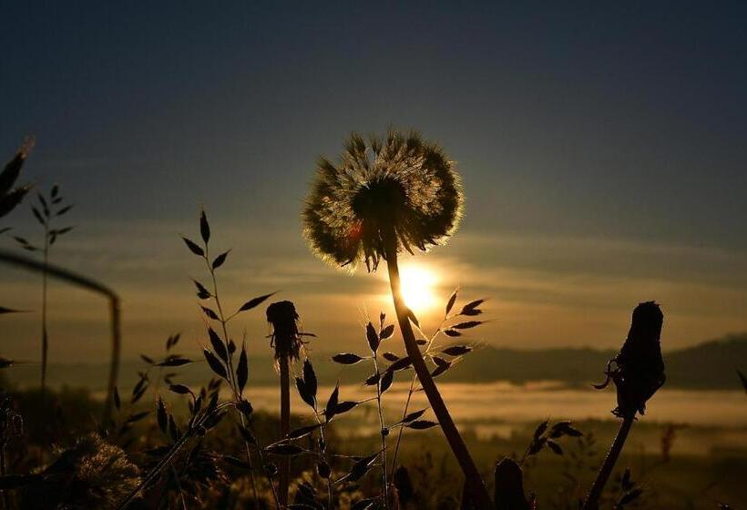 Отель Lindenberger Hof