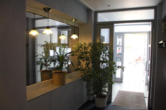 Отель Mainzer Hof