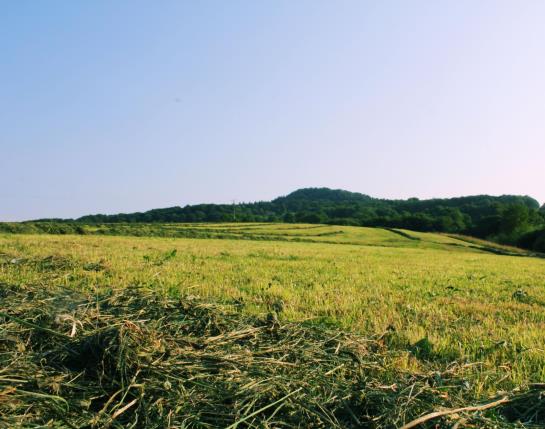 Отель Garni Milseburg