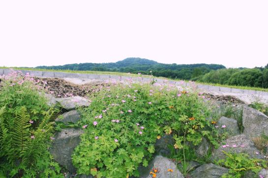 Отель Garni Milseburg