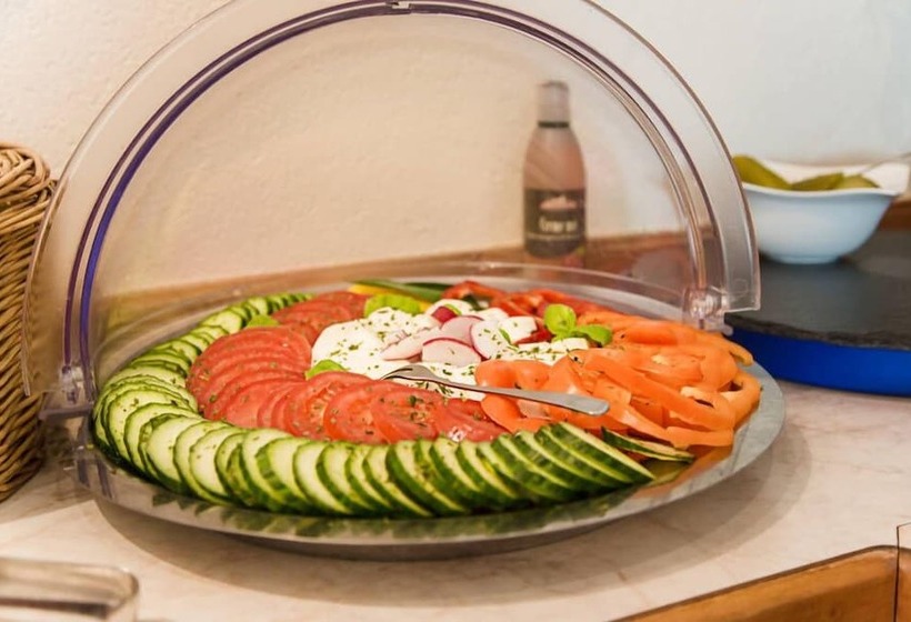 בית מלון כפרי Montana