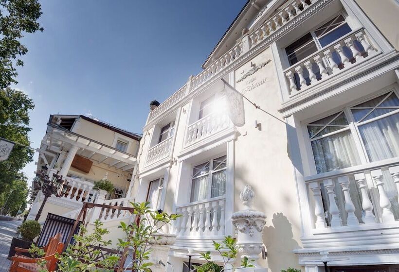 فندق Peter Schaefer