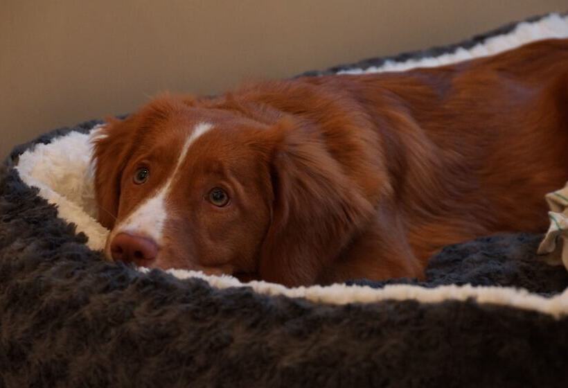 ホテル Postbauer Heng, E Mobilität, Ladestationen Für Elektroautos