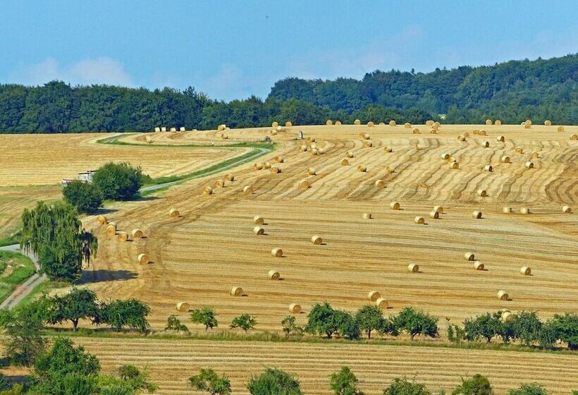 酒店 Restaurant Grüner Baum