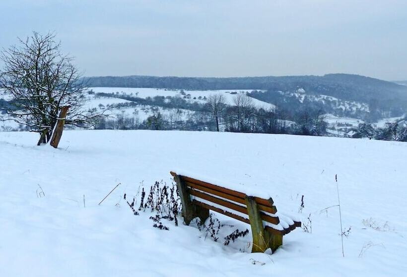 酒店 Restaurant Grüner Baum