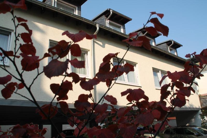 فندق Riesenjunior Hanau By Trip Inn