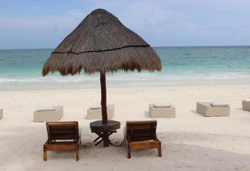 호텔 Rosa Del Viento