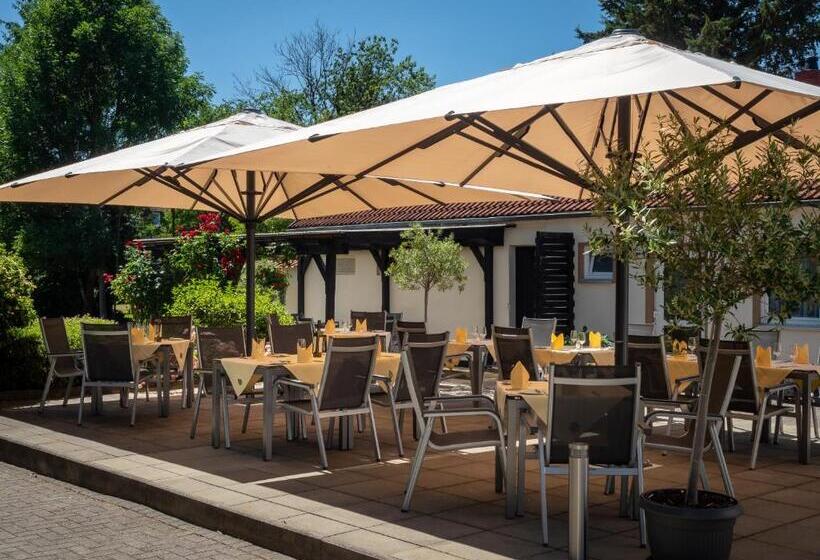 בית מלון כפרי Schaper