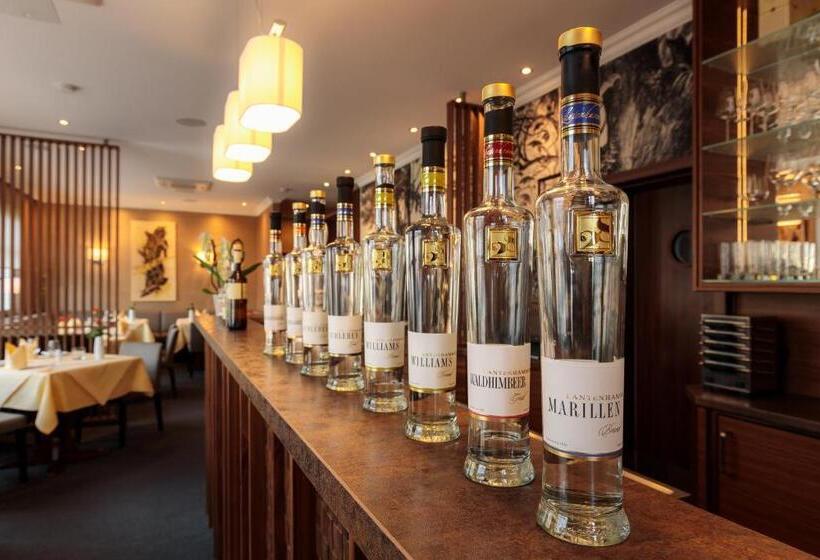 בית מלון כפרי Schaper