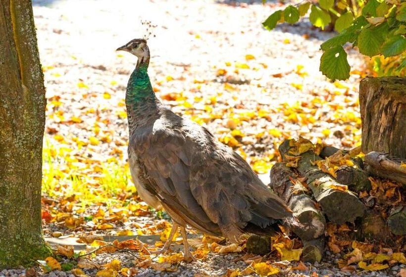 ホテル Schloss Schenke Tunzenberg