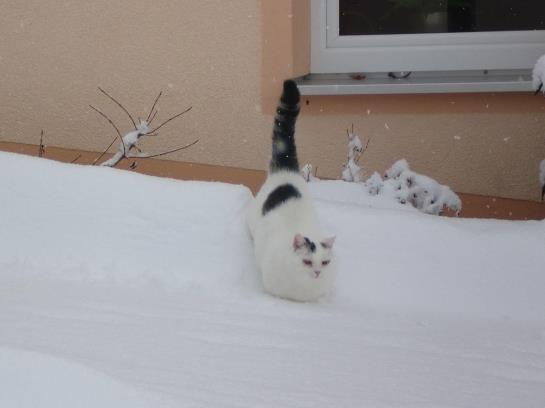 酒店 Stoeckacher Muehle Land