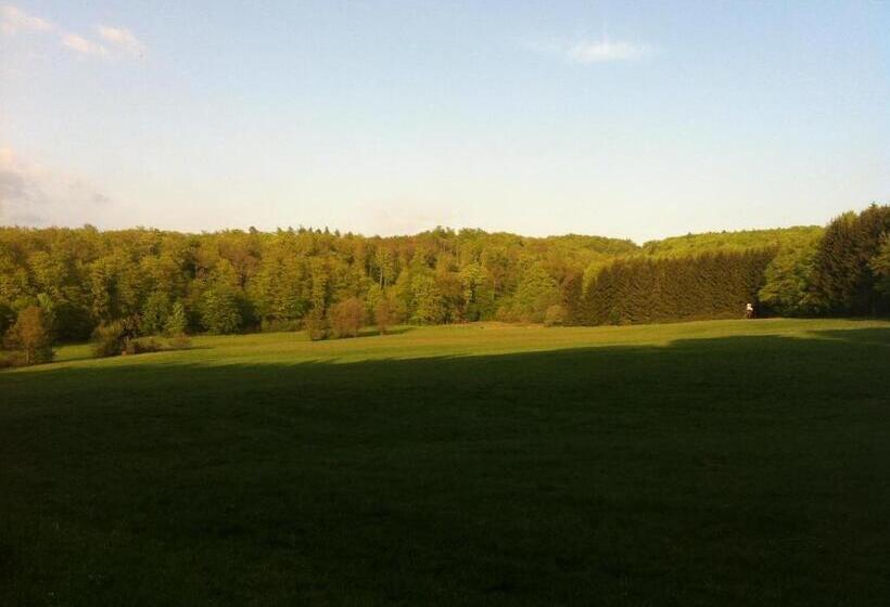 Отель Tannenhof