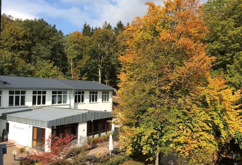 Отель Taunustagungs