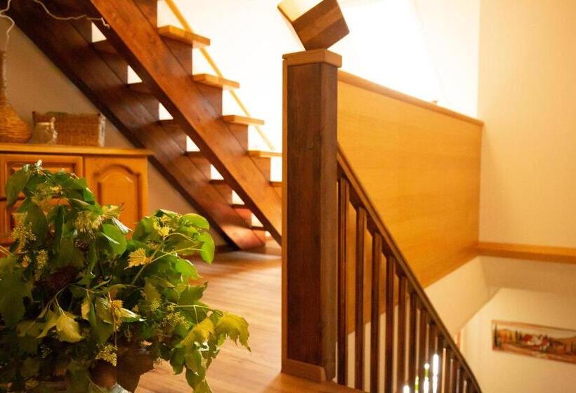 호텔 Vila Belaggio