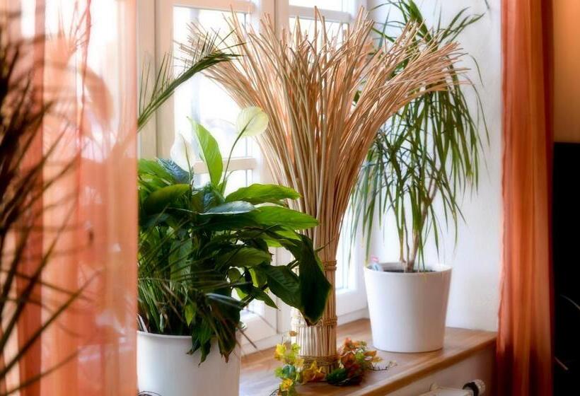 호텔 Vila Belaggio