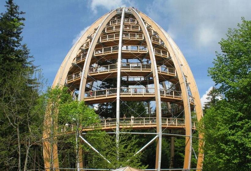 בית מלון כפרי Vitalesca