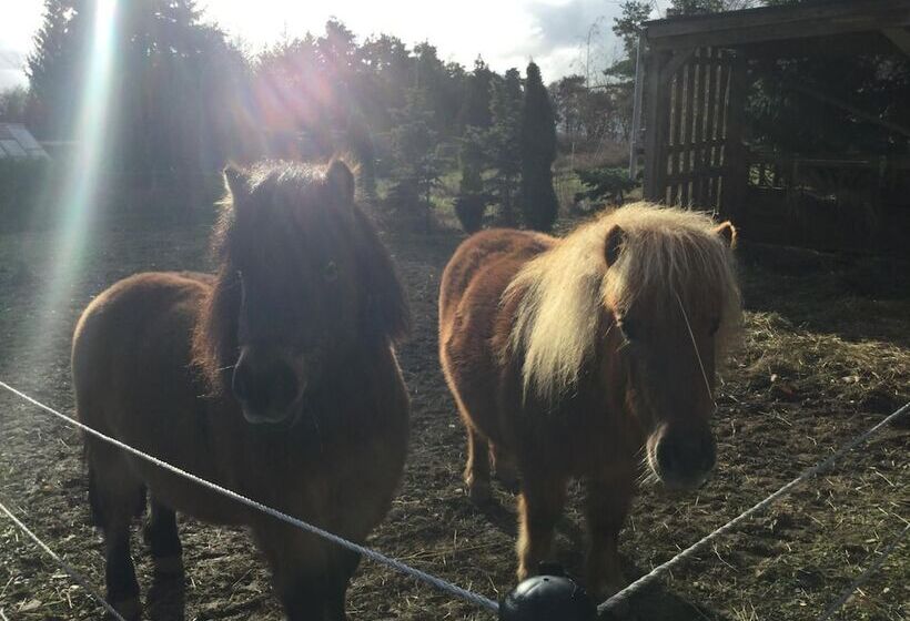 Отель Zu Jeddelohs Lodge