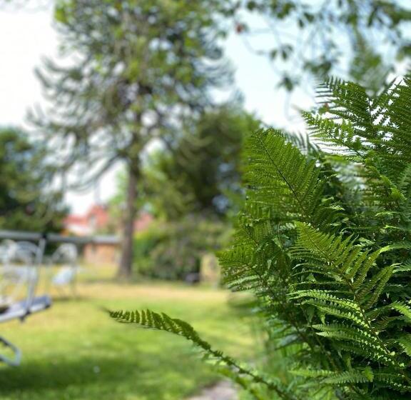 هتل Zum Hanseaten