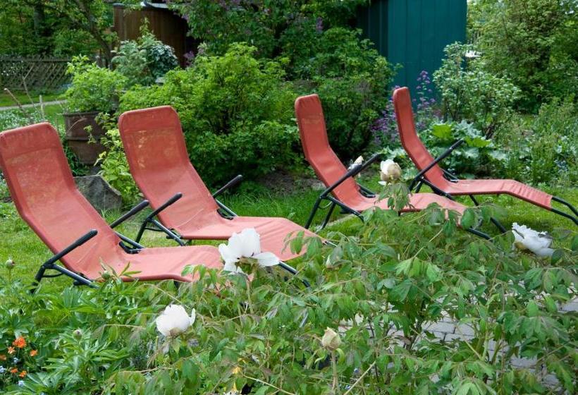 酒店 Zum Rosenbachschen Löwen