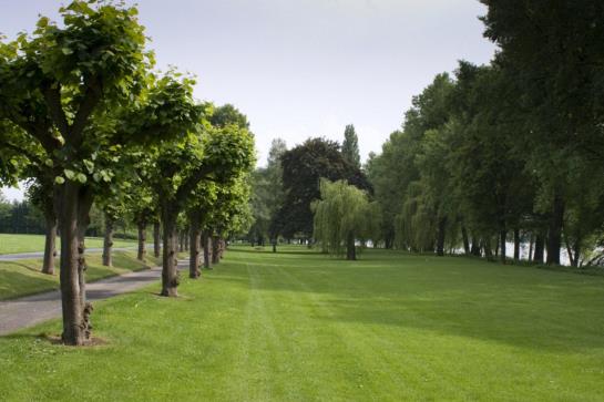 Отель Zur Rheinschanz