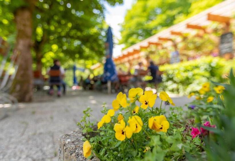 酒店 Zur Triftsperre