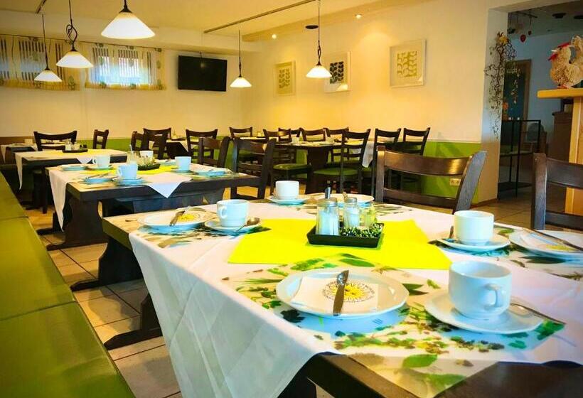 Meister Bär Hotel Am Wald