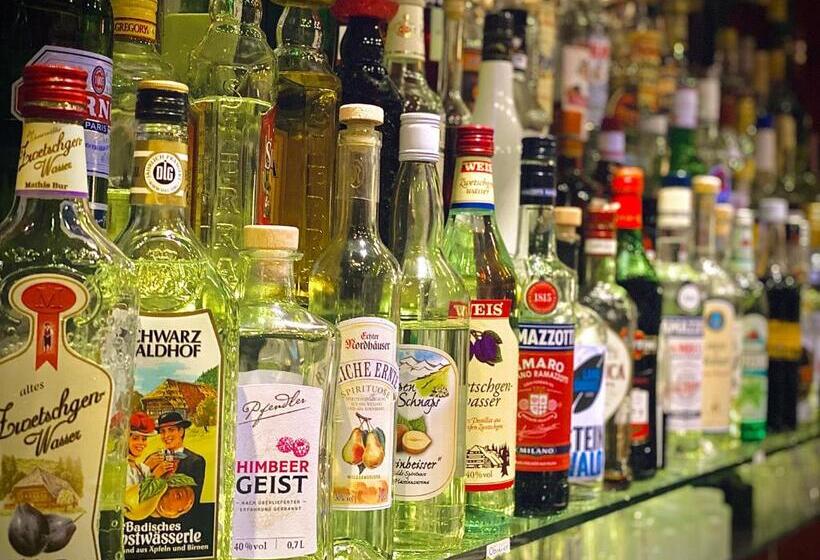 Meister Bär Hotel Fichtelgebirge