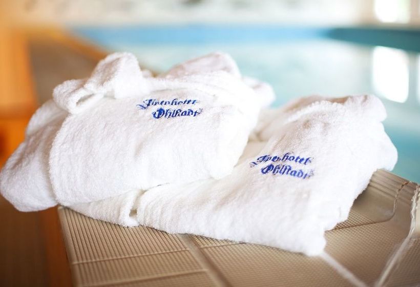 Пансион Alpengasthof Ohlstadt