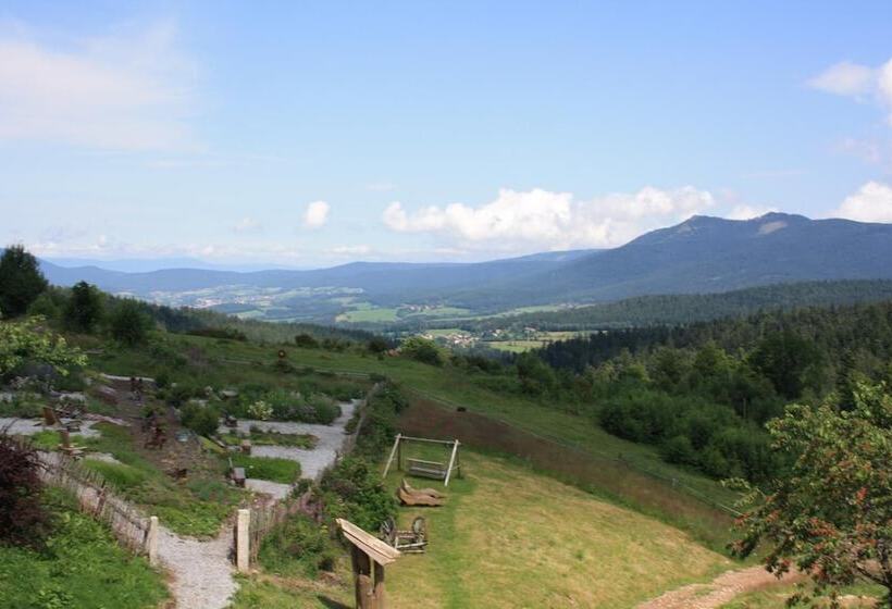 Пансион Berghotel Mooshütte