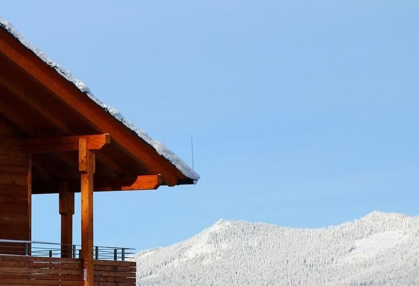 Пансион Berghotel Mooshütte