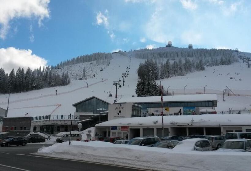 Пансион Berghotel Mooshütte