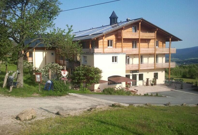 Пансион Berghotel Mooshütte