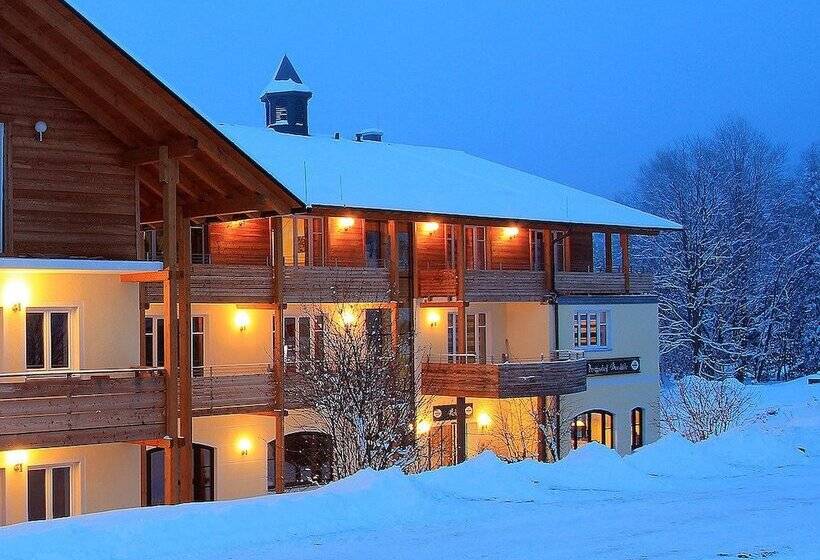 Пансион Berghotel Mooshütte