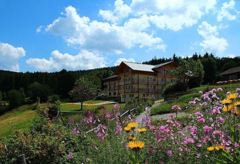 Пансион Berghotel Mooshütte