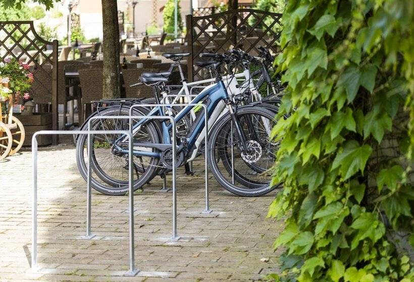 פנסיון Brauerei Gasthof Höhn