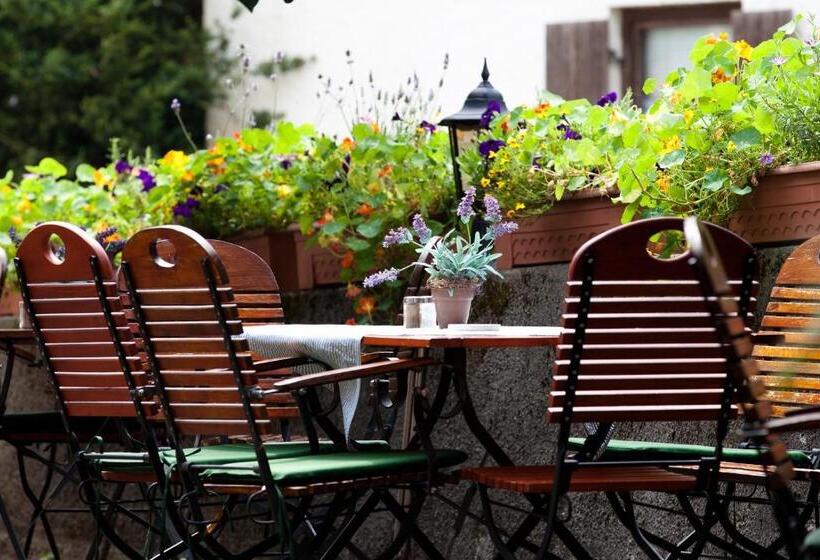 Пансион Gasthof Hotel Zur Post