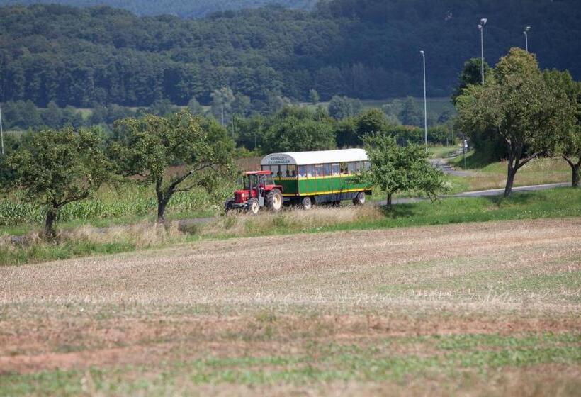 بنسيون Gasthof Kessler