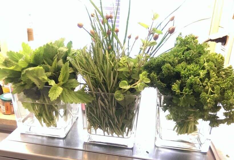 ペンション Gasthof Linden & Wildkräuter