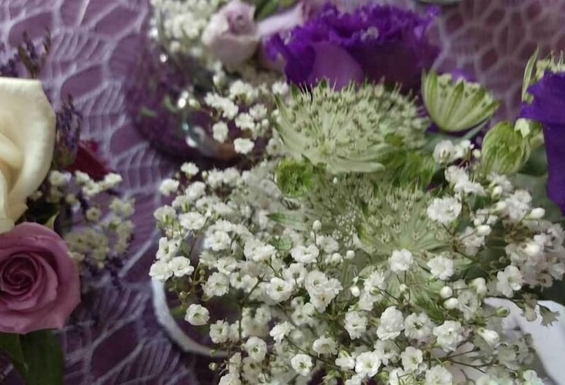 ペンション Gasthof Linden & Wildkräuter