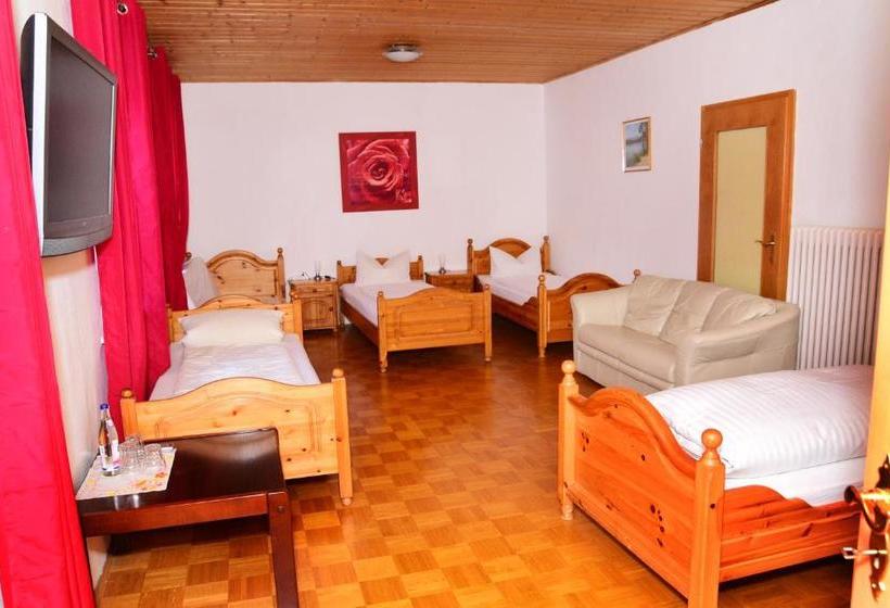 بنسيون Gasthof Und Hotel Zum Hirsch