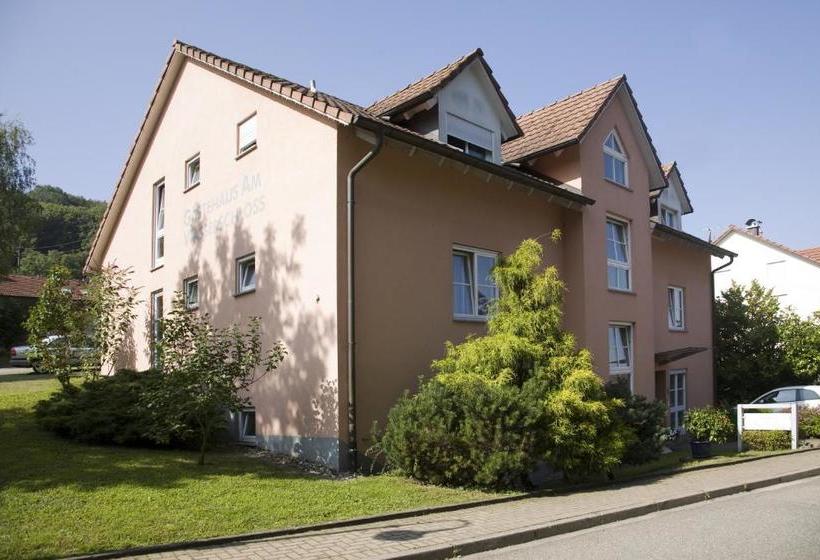 بنسيون Gästehaus Am Wasserschloss & Restaurant Wasserschloss Inzlingen